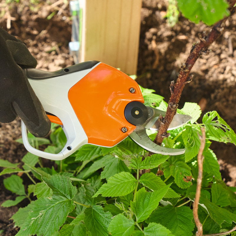 Akumulátorové nožnice STIHL ASA 20 SET s AS 2 + AL 1