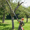 Vyvetvovacia píla STIHL HTA 135