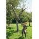 Vyvetvovacia píla STIHL HTA 135