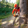 Motorová píla STIHL MS 362 C-M VW Motorová píla STIHL MS 362 C-M VW