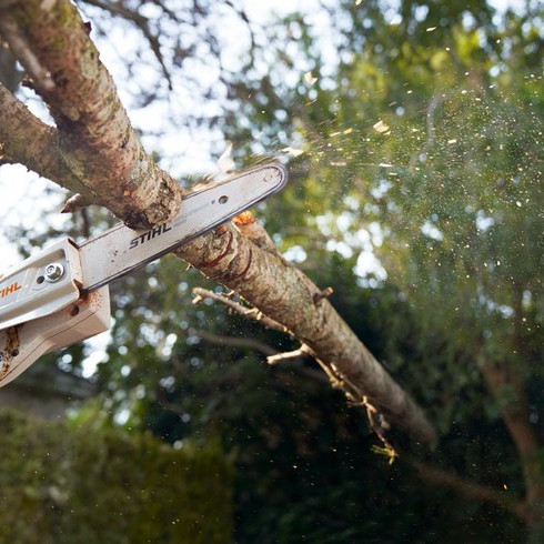 Akumulátorová vyvetvovacia píla STIHL HTA 50, len stroj Akumulátorová vyvetvovacia píla STIHL HTA 50, len stroj