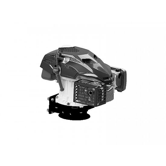 Servisný motor RATO RV225